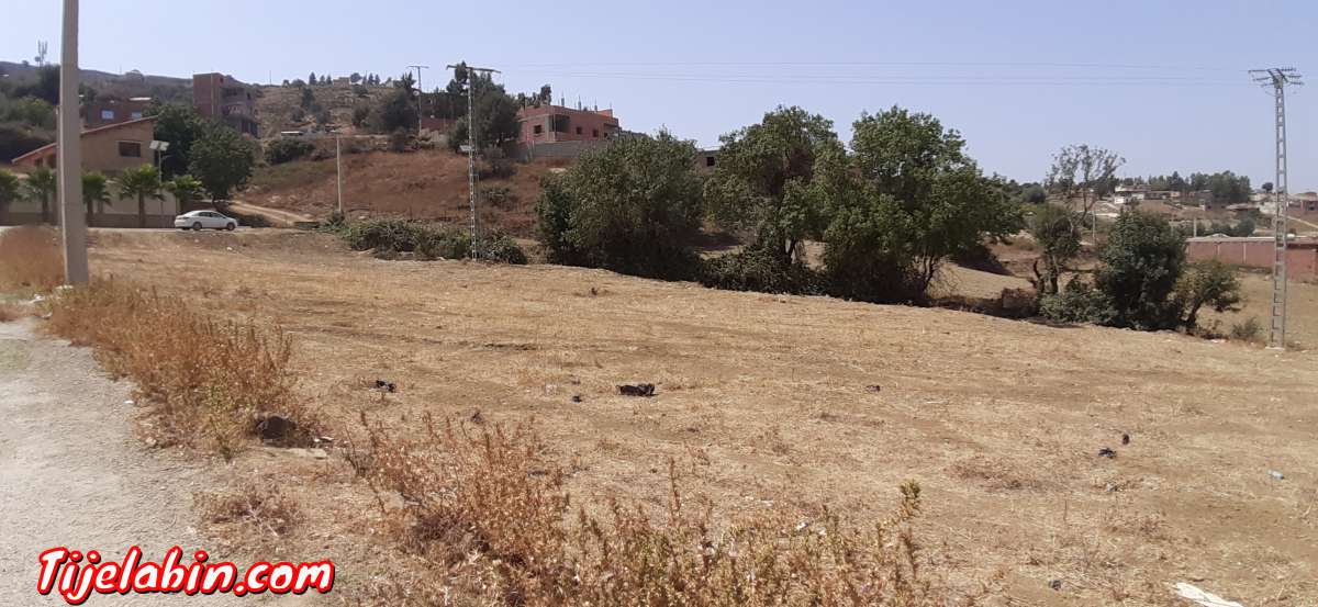 حي الڨهايز جبابرة مفتاح البليدة