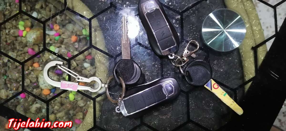 ميلة ترعي باينان