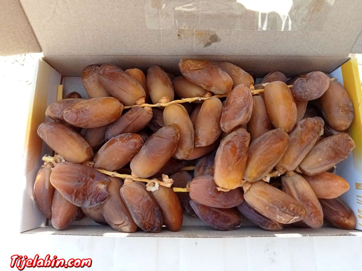 Dgla Biskra b l Djmla.