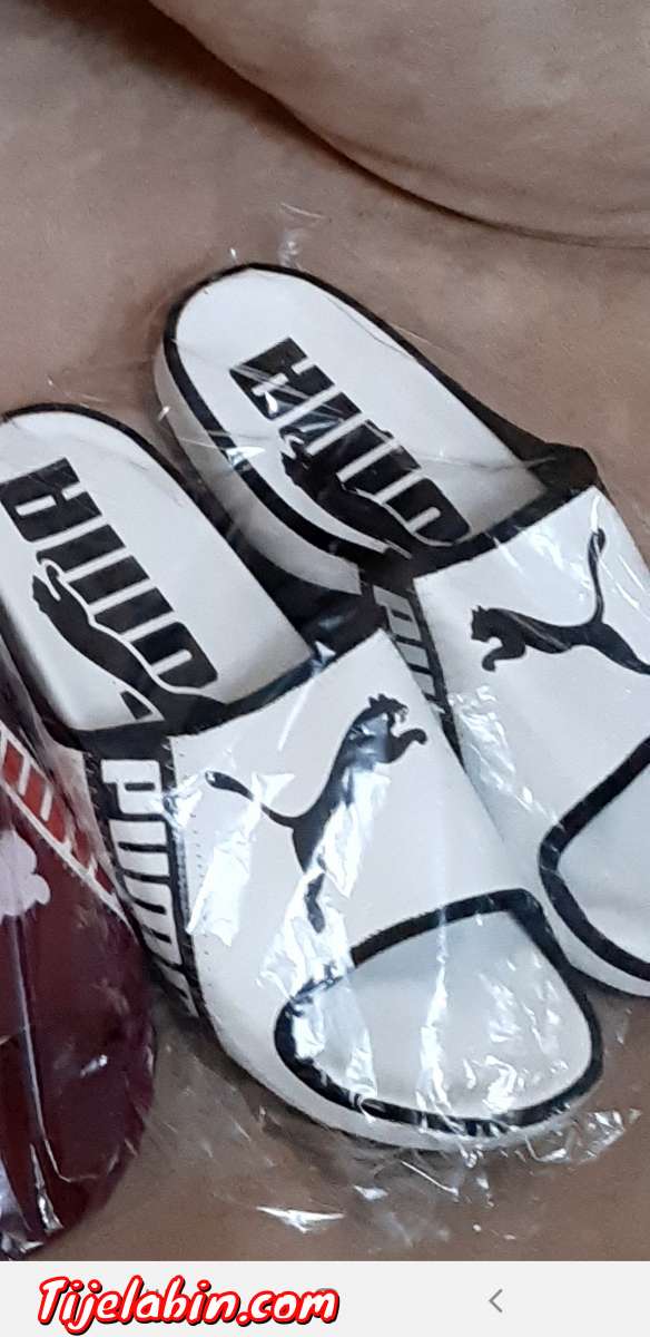 بلايغ راهم متوفرين حاجة شابة