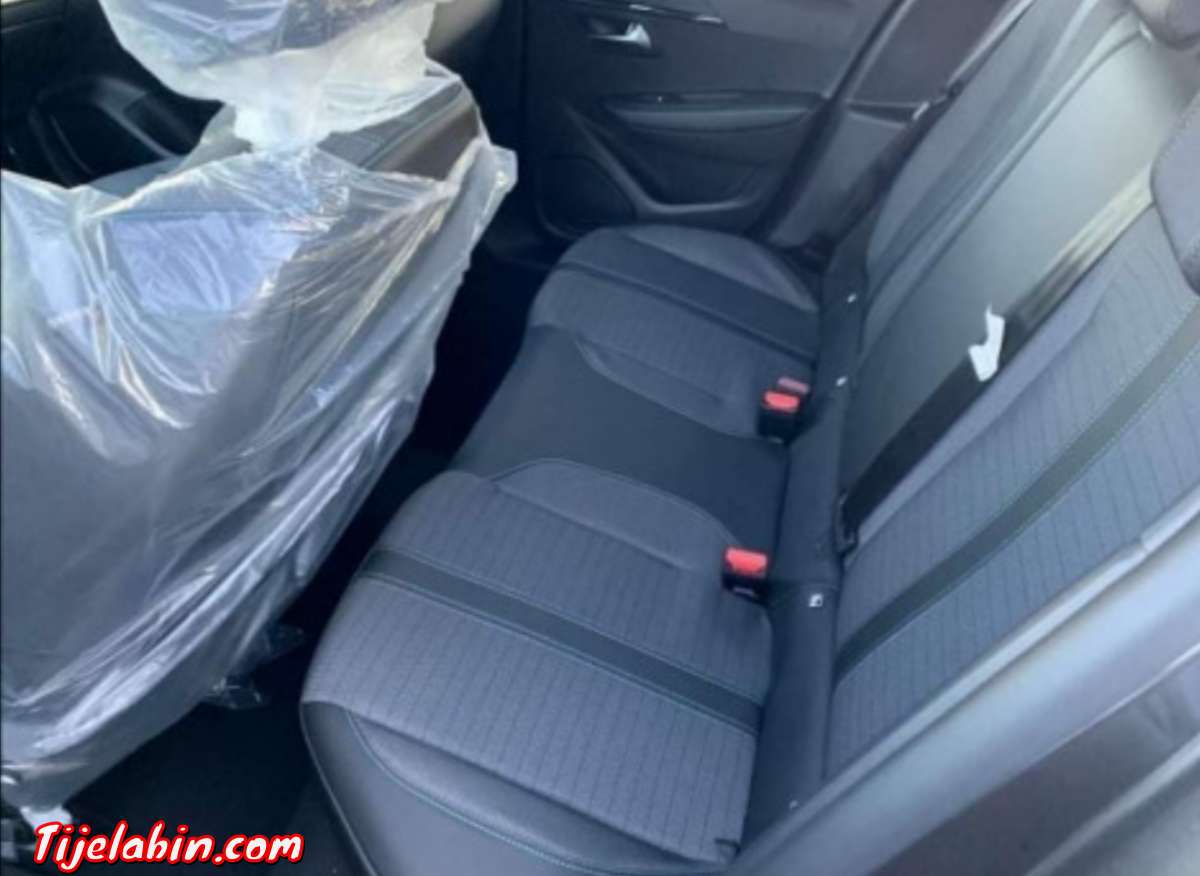 208 Alleur Gris artense