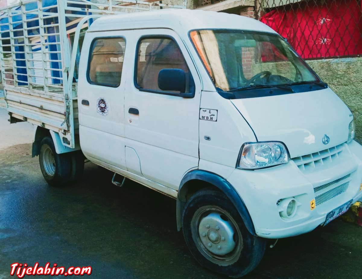 chana q20