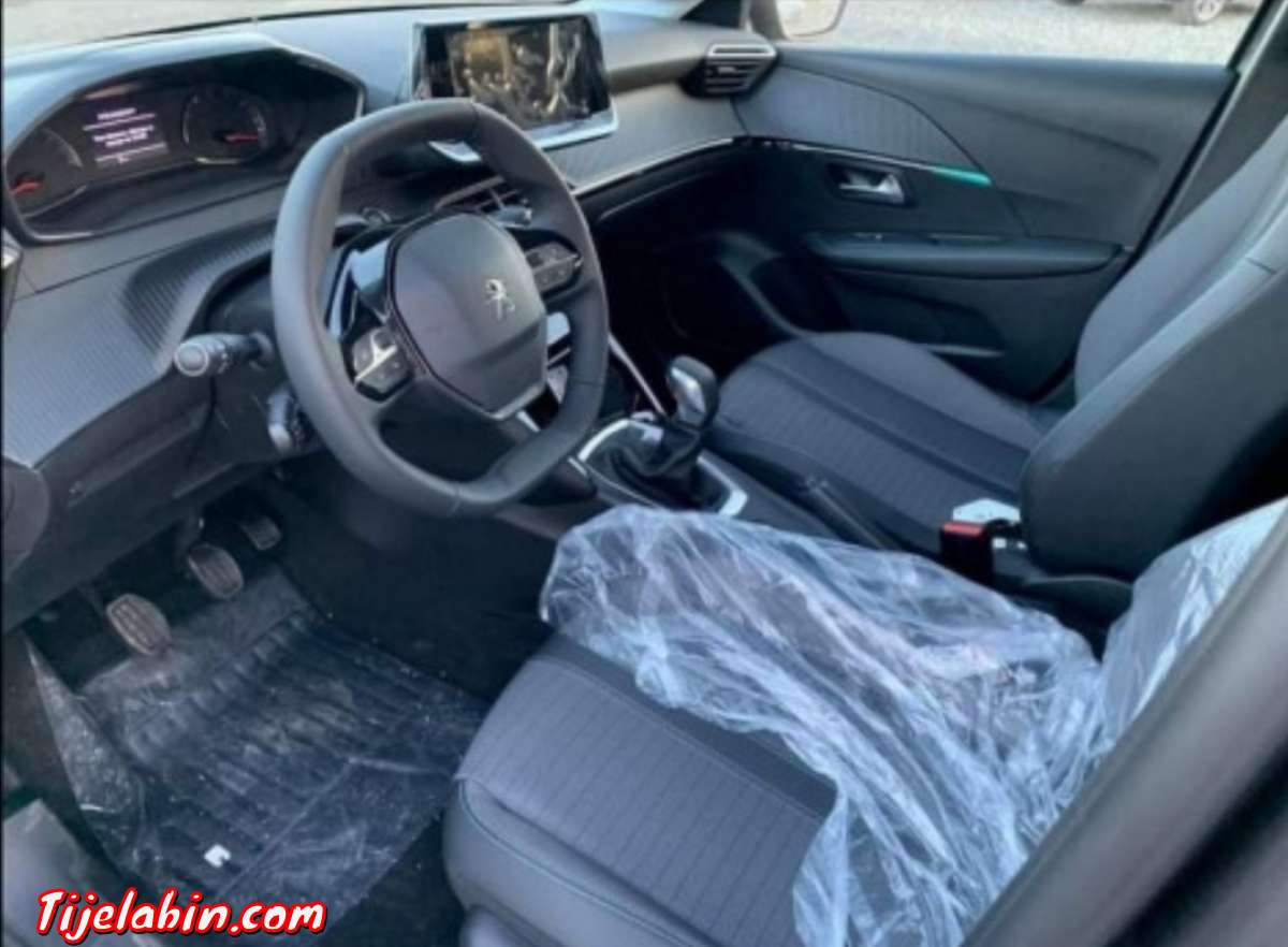 208 Alleur Gris artense