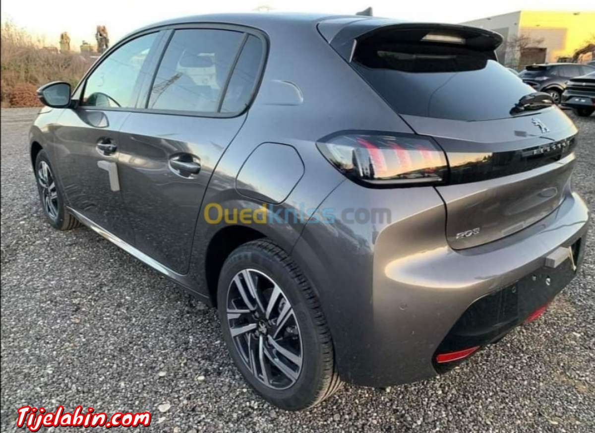 208 Alleur Gris artense