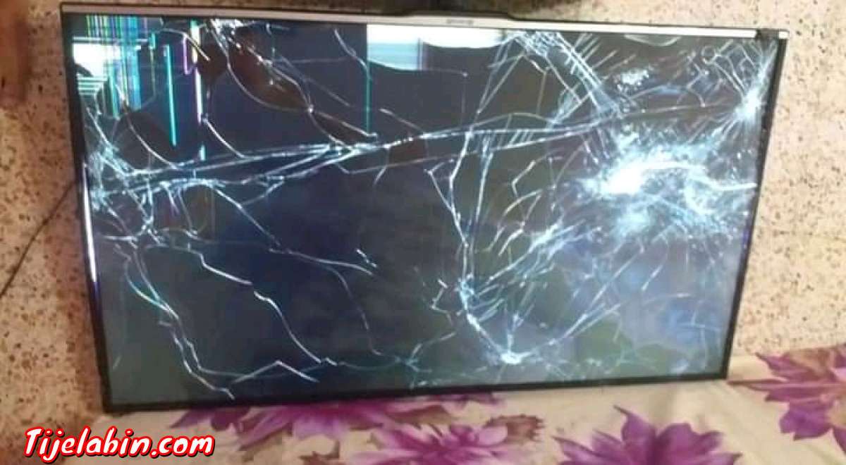 كاين 3 تاع لي تليفزيون بلازما شابين رايحة لافيشار