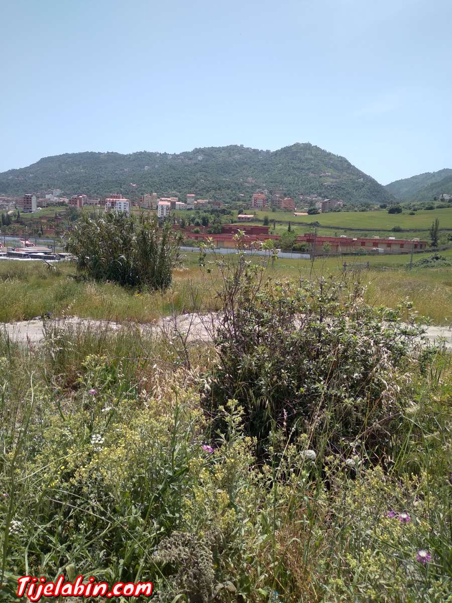 قطعة أرض للبيع صالحة للبناء متوفر غاز كهرباء وماء .