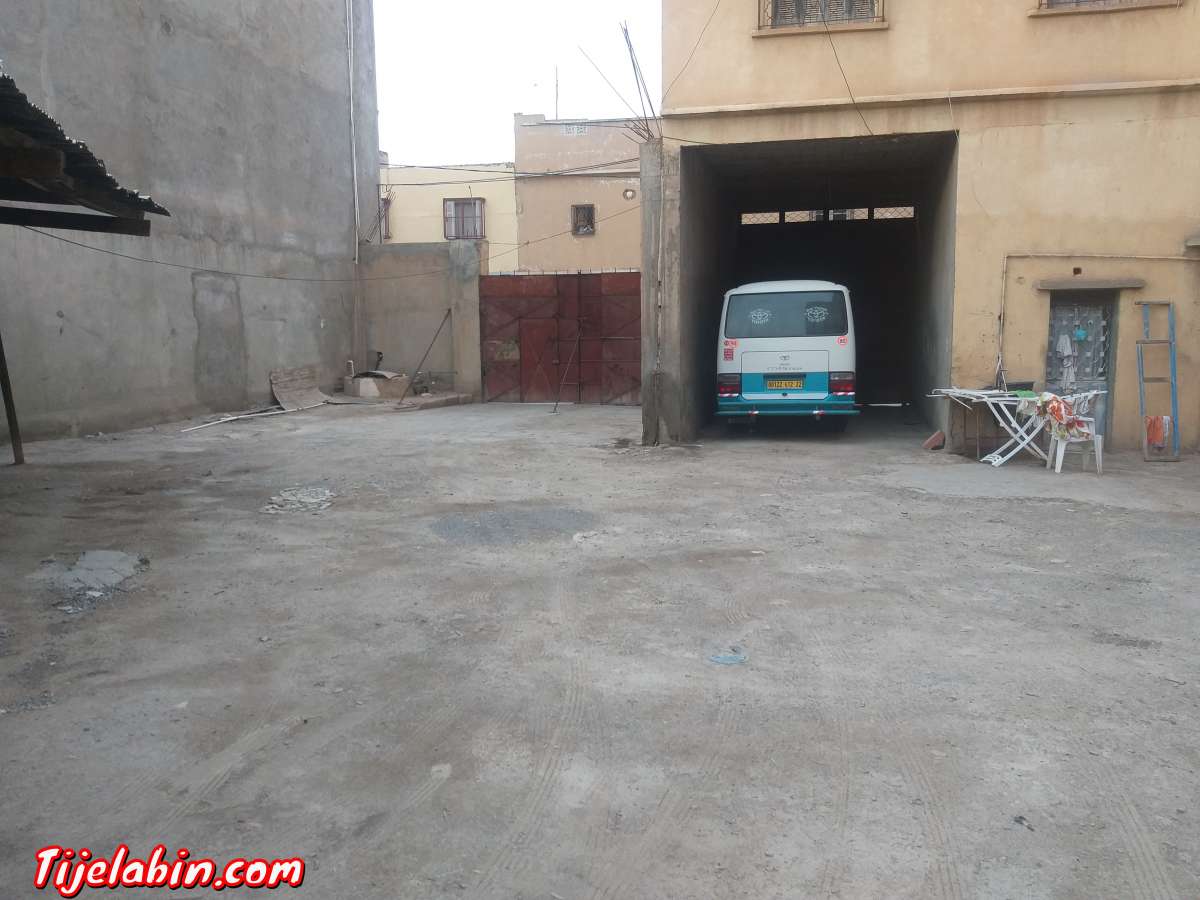 immeuble 2 appartement terrasse 3 locaux garage et  jardin