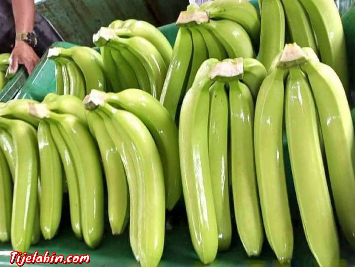 تصدير الموز من اكوادور