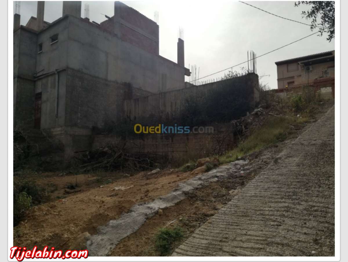 terrain a vendre a Ouled Belhadj  saoula