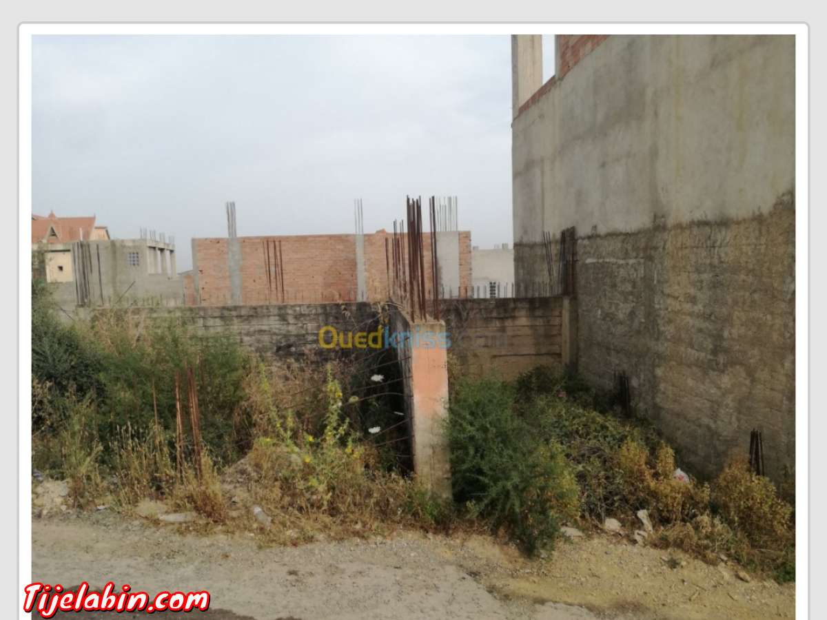terrain a vendre a Ouled Belhadj  saoula