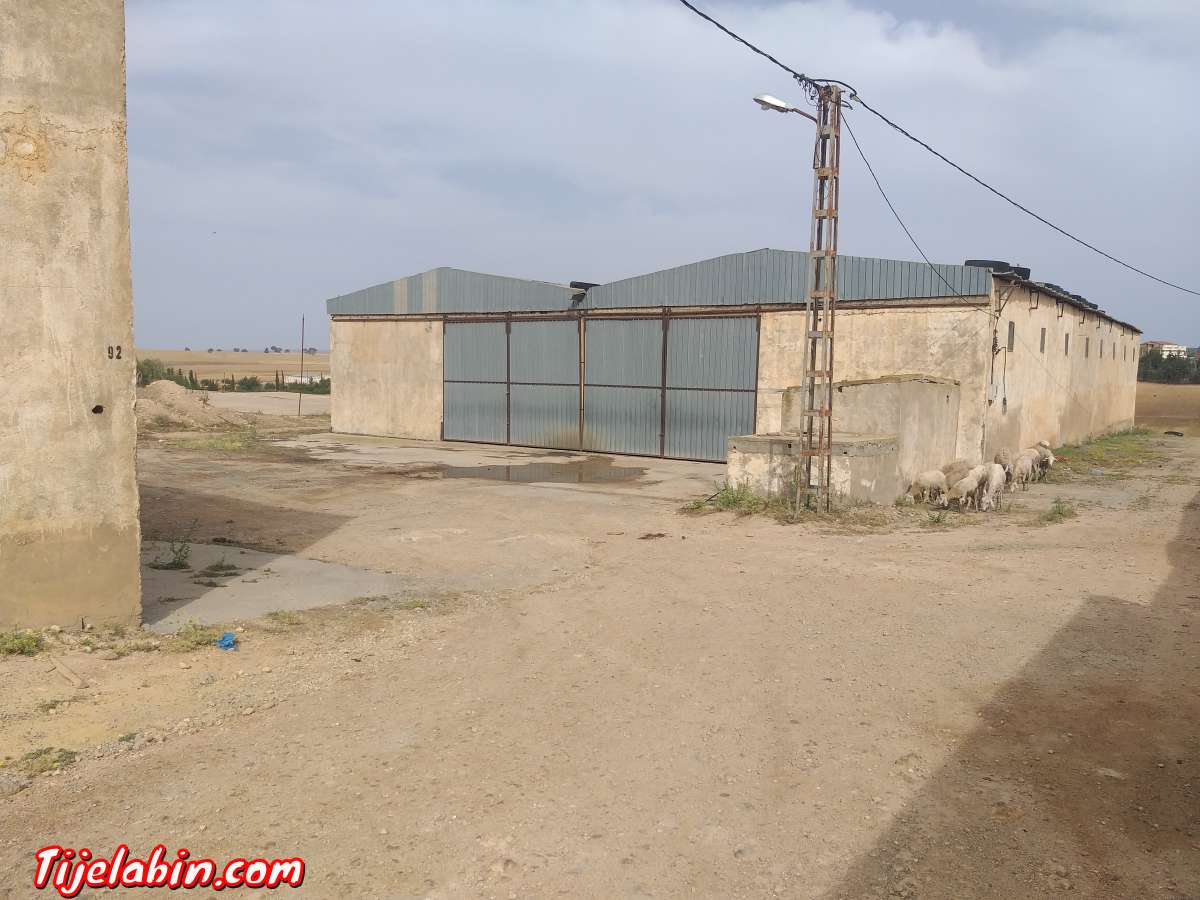 usin de boit  un grand Hangar sur la route
