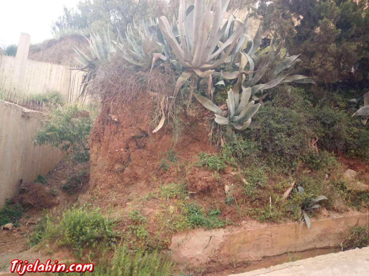 Villas  appartements. Terrains