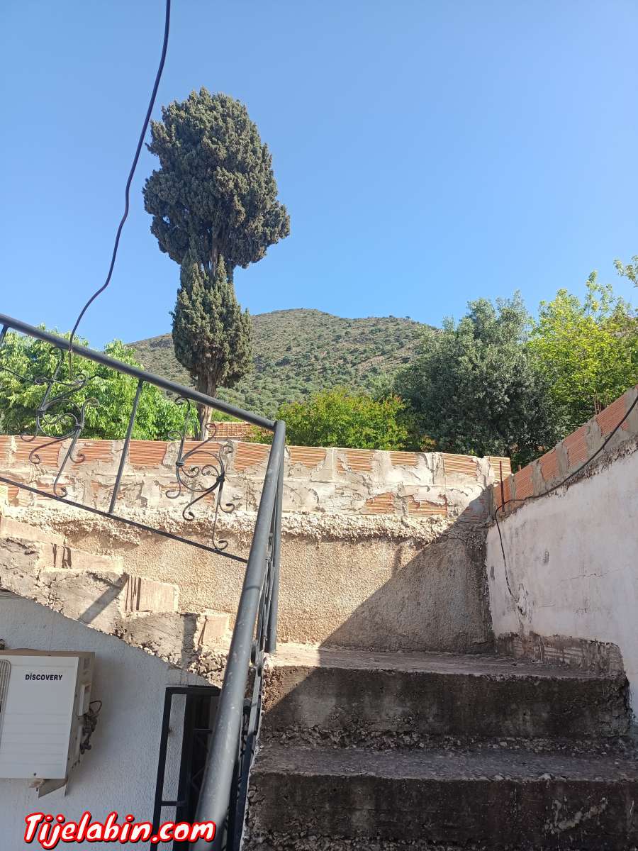 Villas  appartements. Terrains