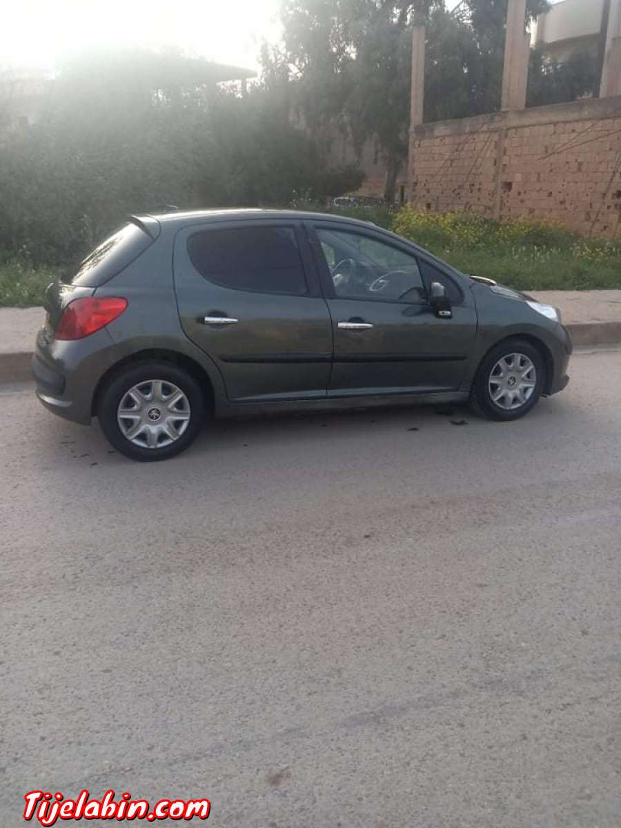 207اسونس سامبل