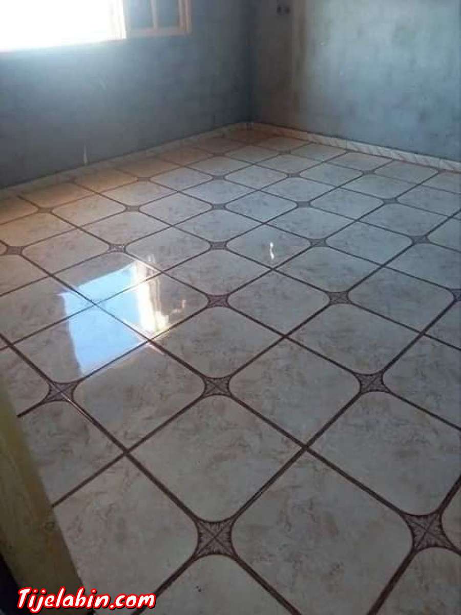 CARLEUR,TRAVAUX DE FINITION,PLAFOND PLASTIQUE ET PEINTURE