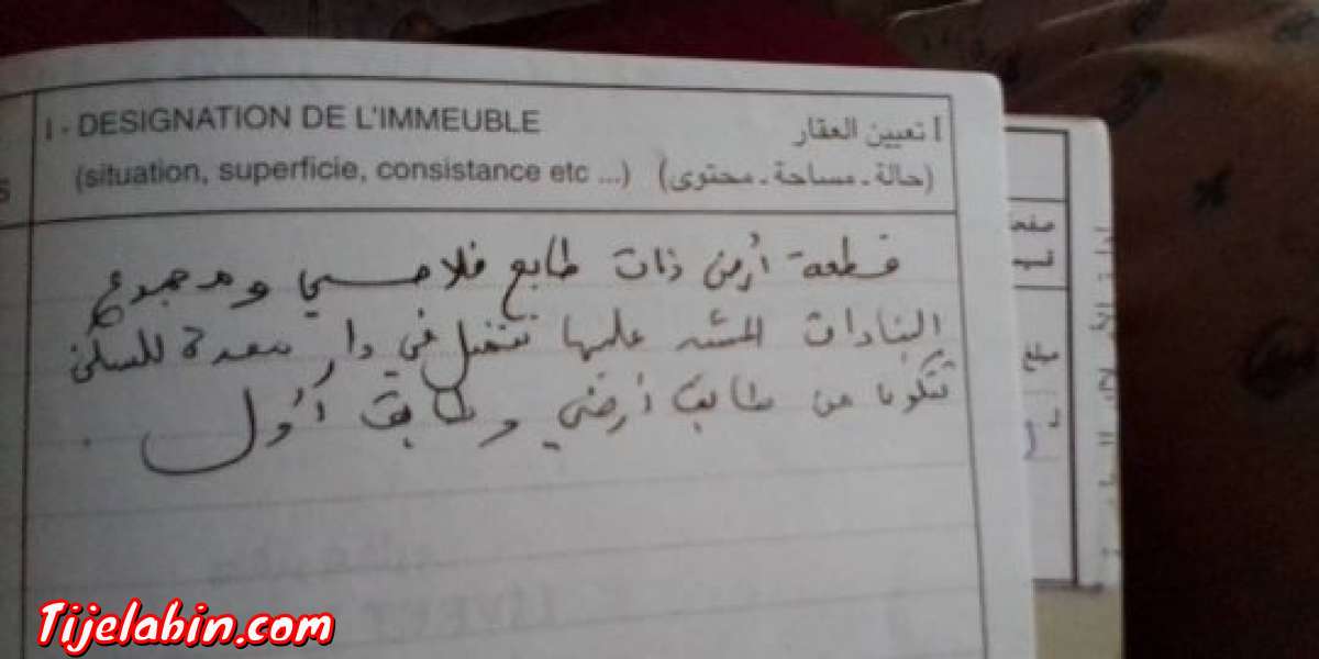 ارض فلاحيه + مطعم