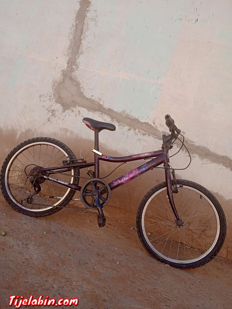 محمد برايكية نصر الله