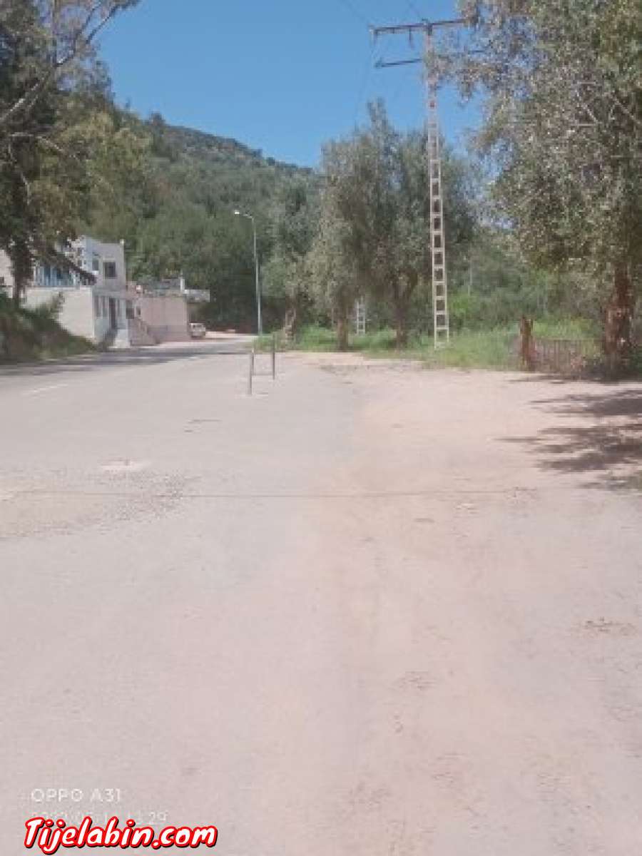 ارض فلاحيه + مطعم