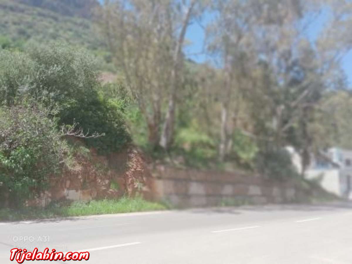 ارض فلاحيه + مطعم