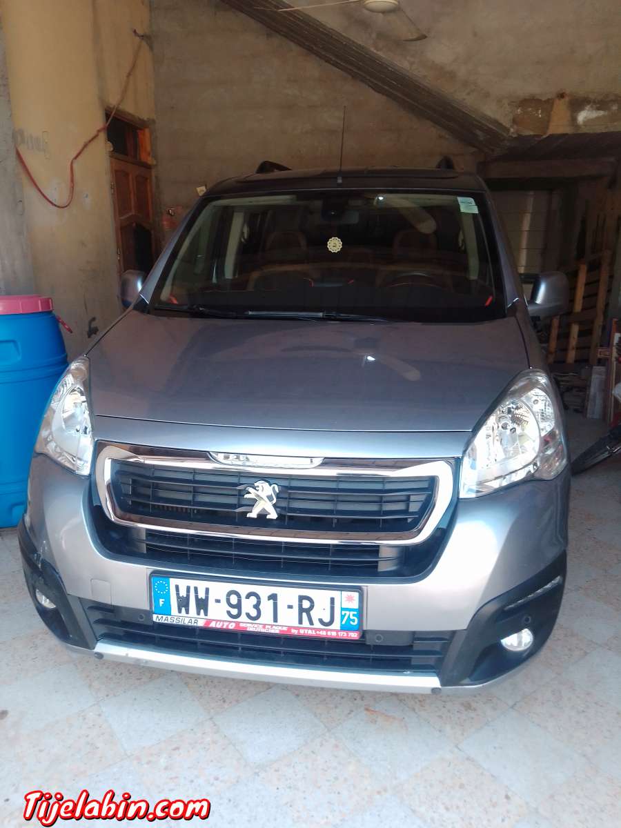 تيبي برتنال 2017