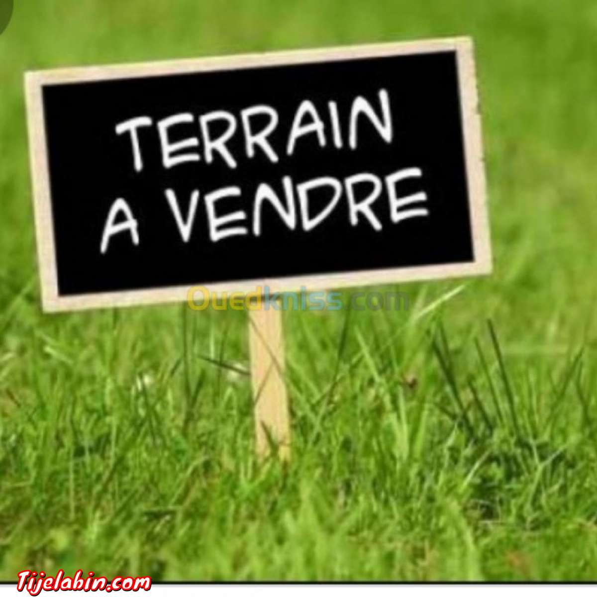 قطعة ارض للبناء