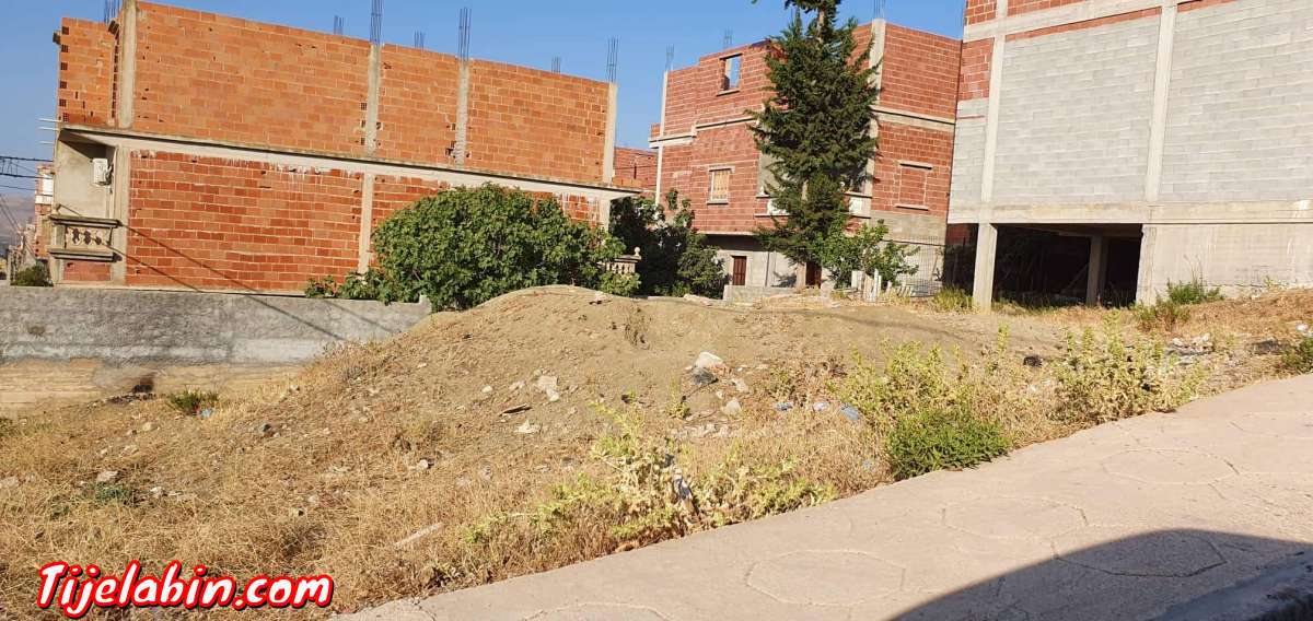 قطعة ارض في التحصيص البلدي 60 حصة