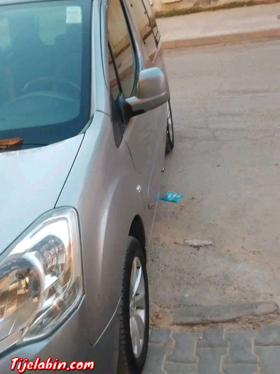 تيبي برلنقو 2017