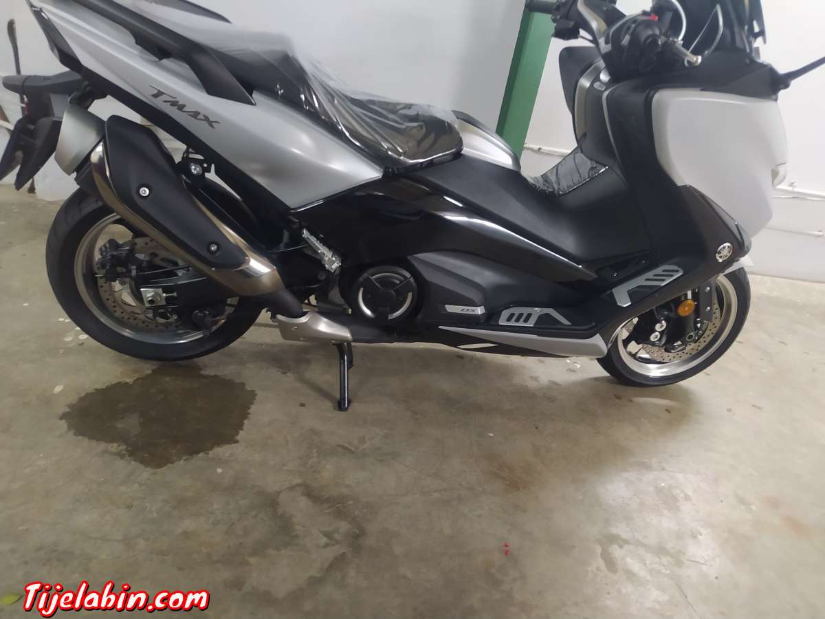 t Max DX 2019