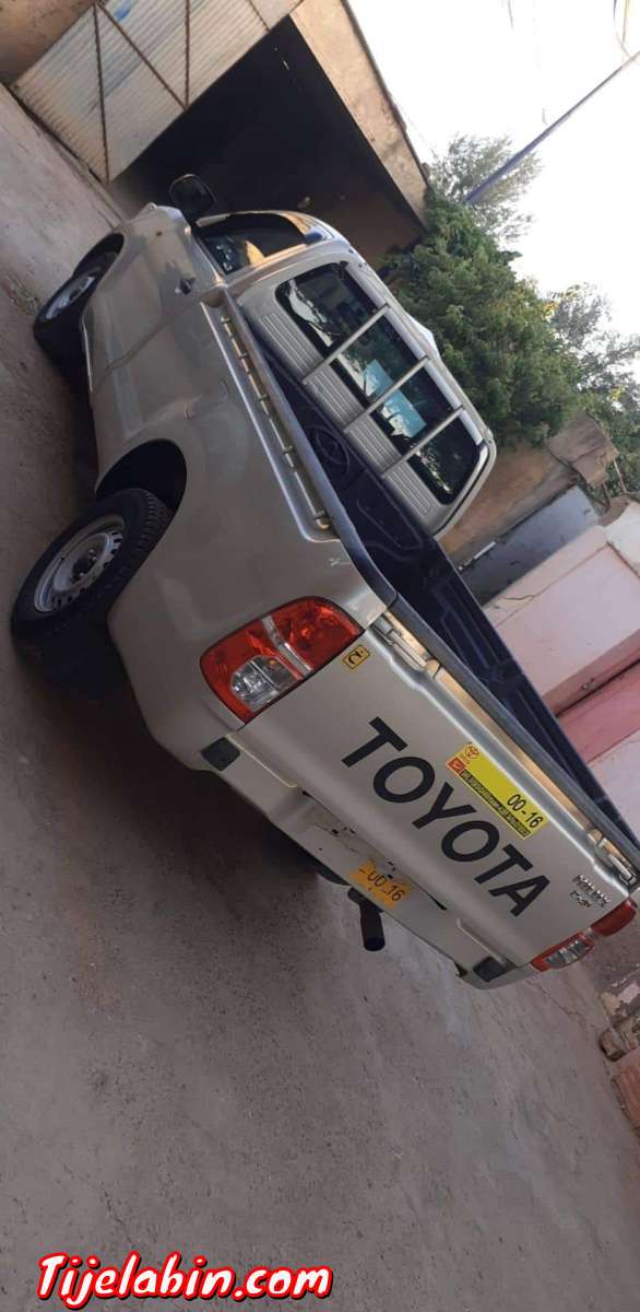 طيوطا هيليكس