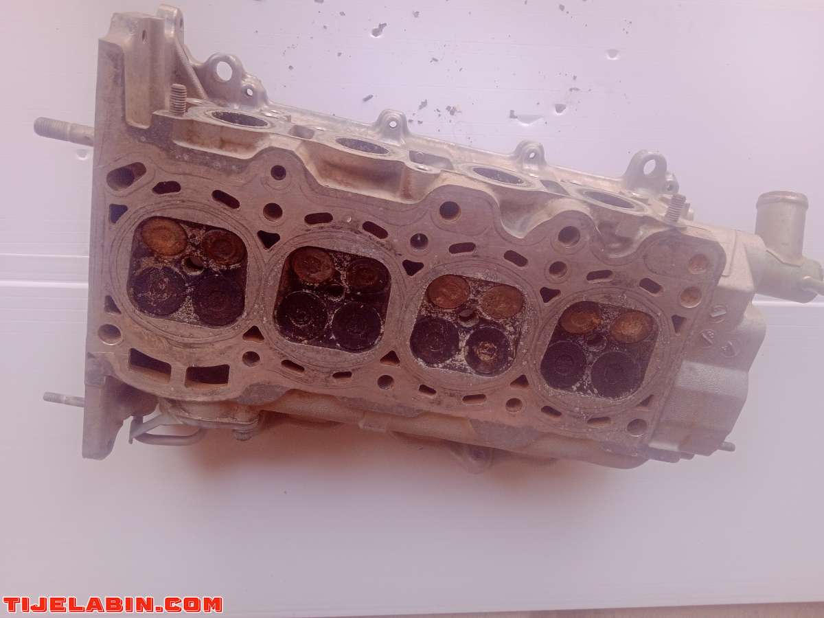 كلاصة تيريوس في حالة جيدة