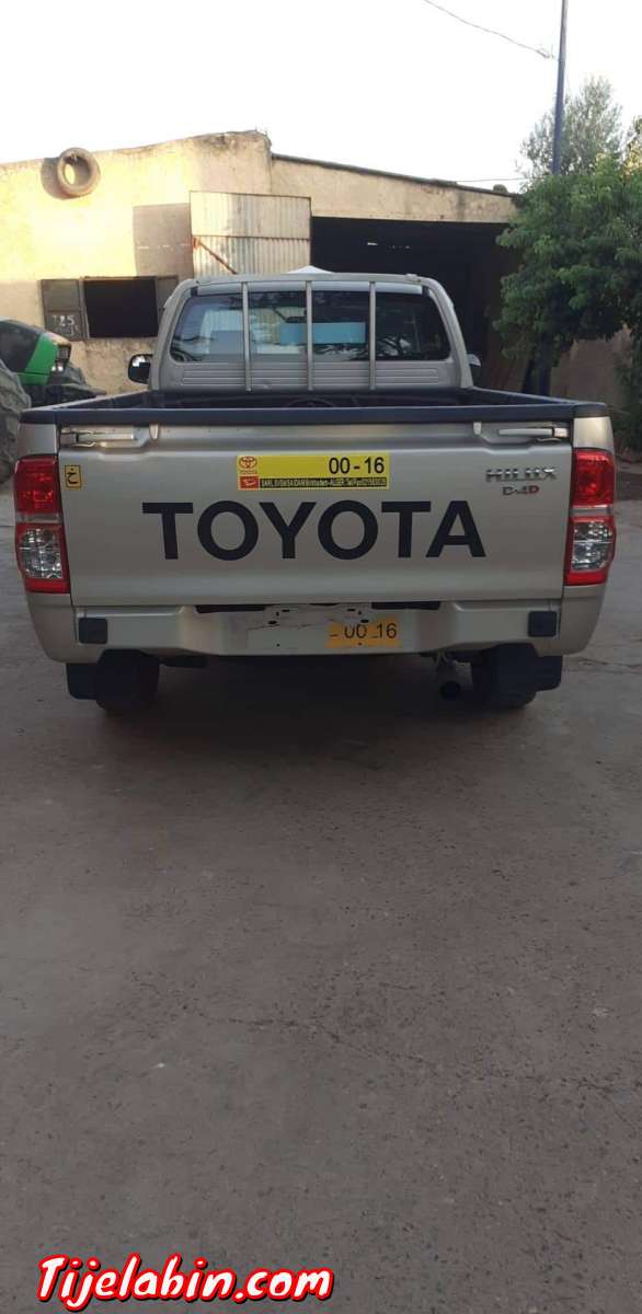 طيوطا هيليكس