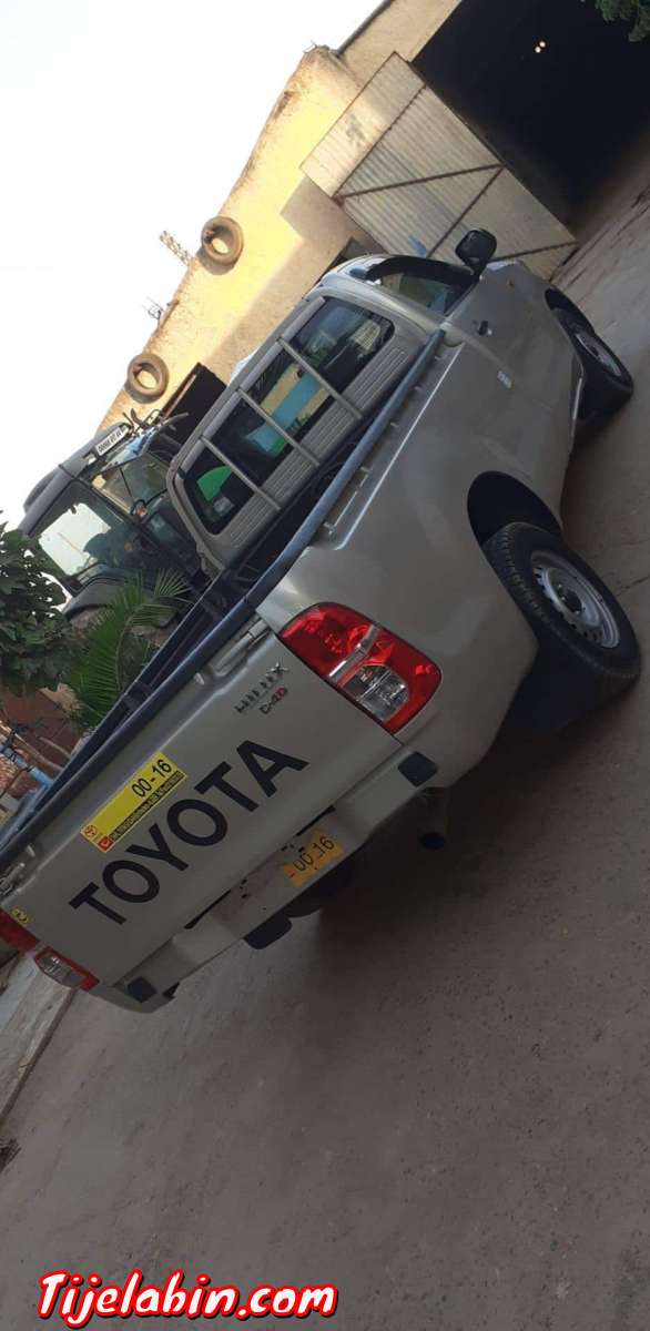 طيوطا هيليكس