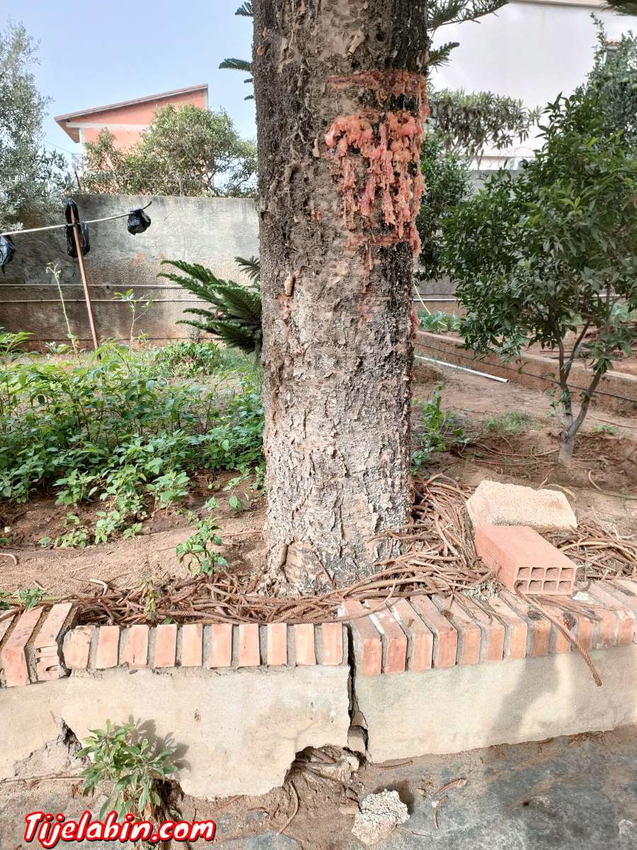 consultant en génie civil