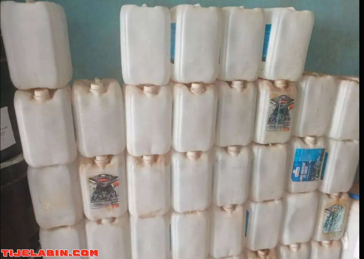 نبيع مجاور براويط شبكة من كل انواعها