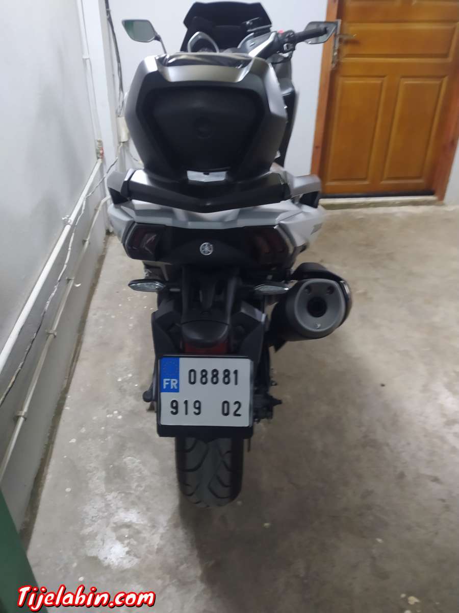 t Max DX 2019