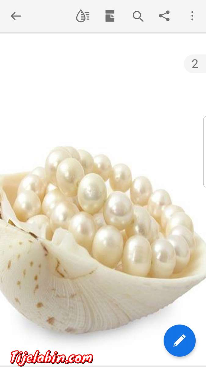 بودرة اللؤلؤ