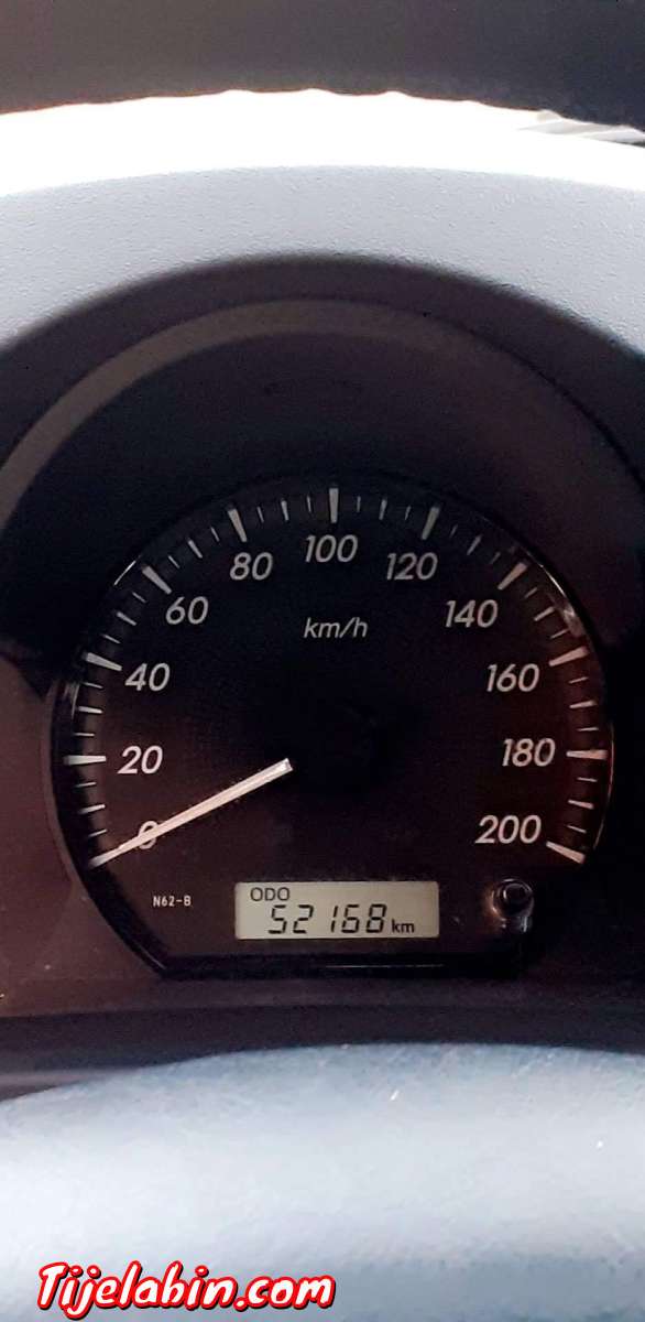 طيوطا هيليكس