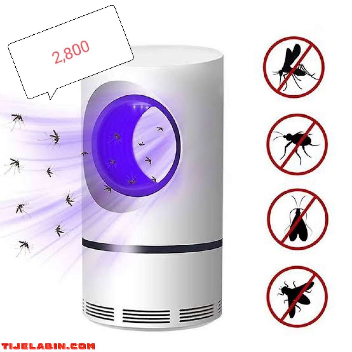 ابراي جديدة تقتل ناموس