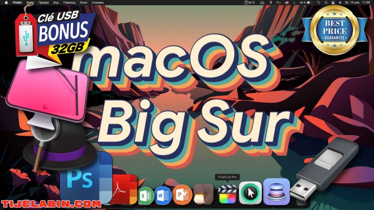 Systéme macOS Big Sur Bootable sur clé USB 32GB + 170 Logiciels Professionnel Bonus