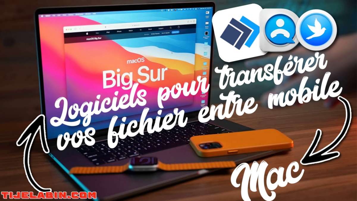 Systéme macOS Big Sur Bootable sur clé USB 32GB + 170 Logiciels Professionnel Bonus