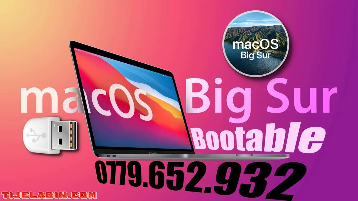 Systéme macOS Big Sur Bootable sur clé USB 32GB + 170 Logiciels Professionnel Bonus