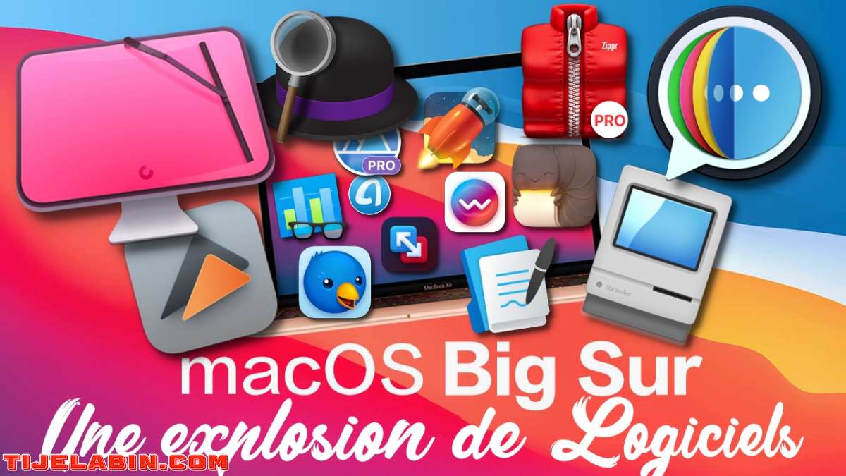 Systéme macOS Big Sur Bootable sur clé USB 32GB + 170 Logiciels Professionnel Bonus