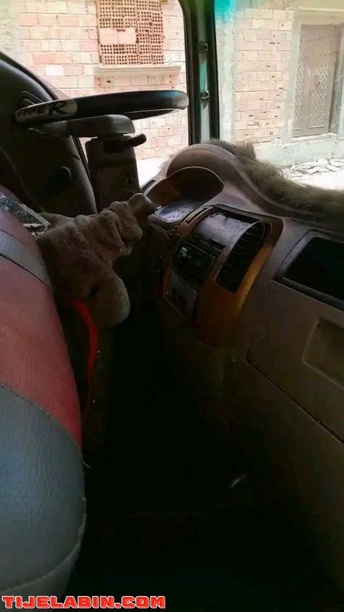 فطوان نضيف من كلشي