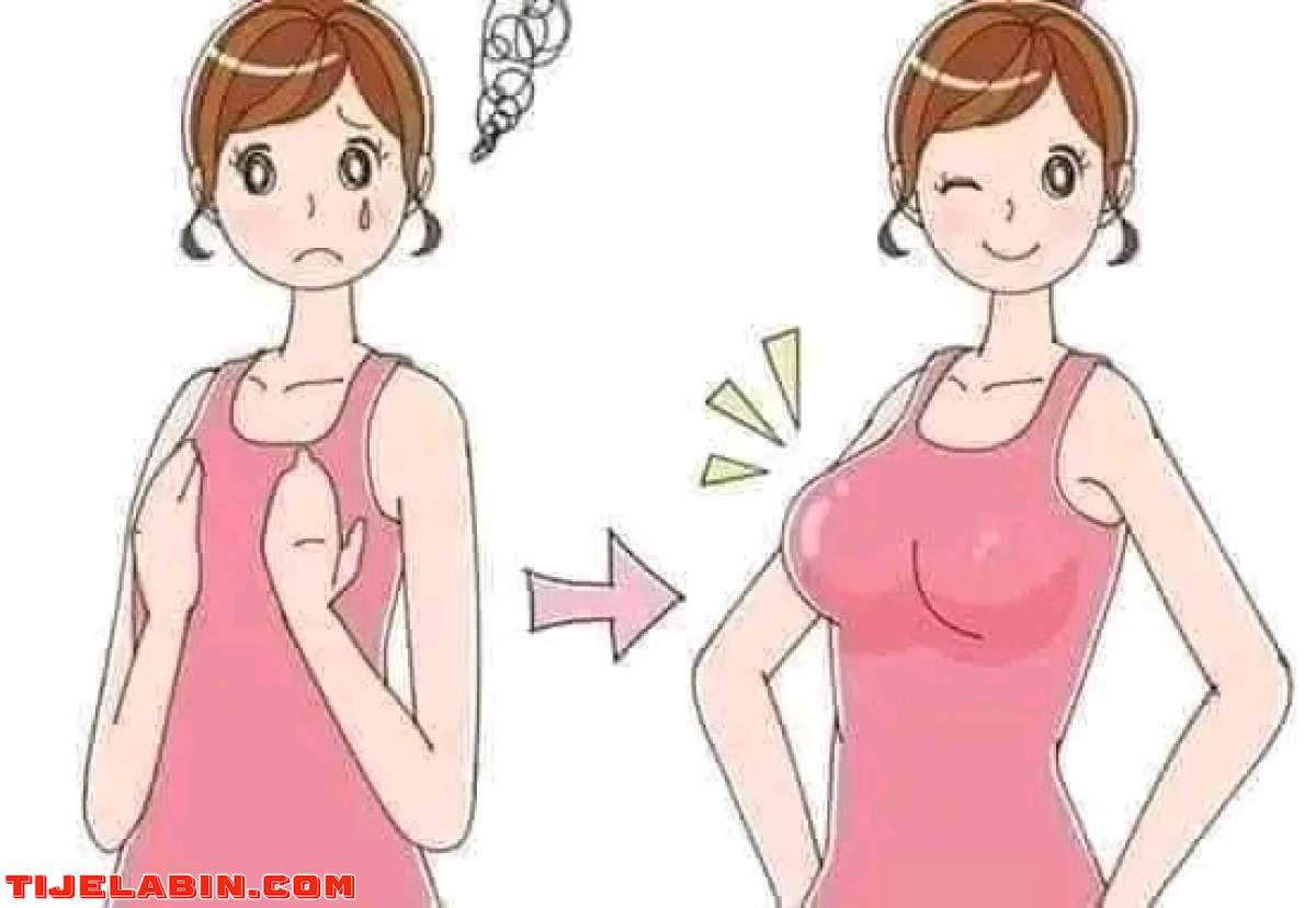 بوش آب أرفيا