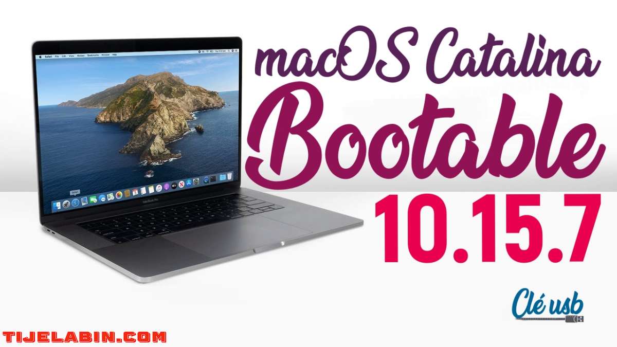 Systéme macOS Catalina Bootable sur clé USB 32GB + 170 Logiciels Professionnel Bonus
