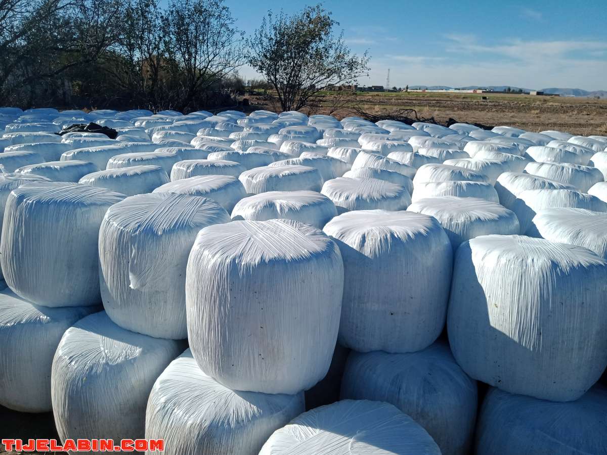 لونسيناج ذره