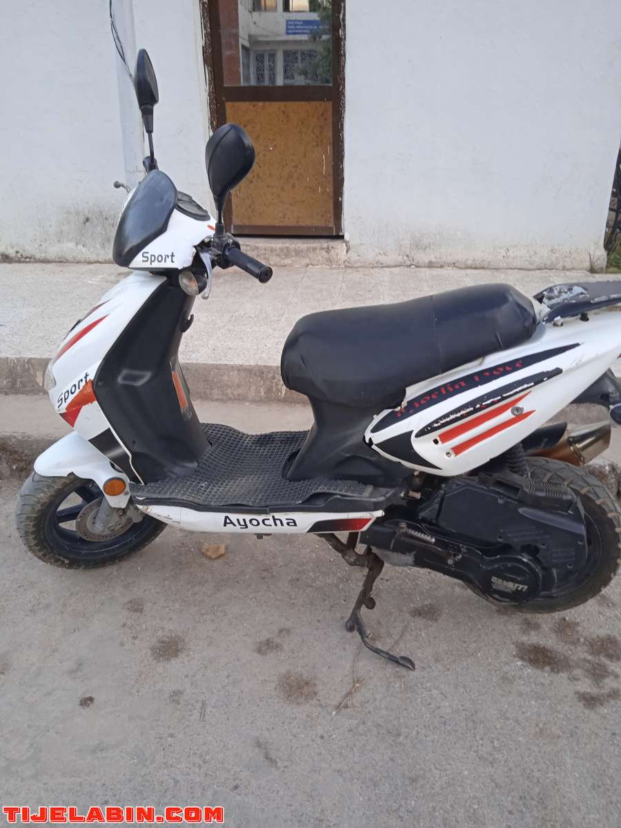 فيسبا عيوشا2012