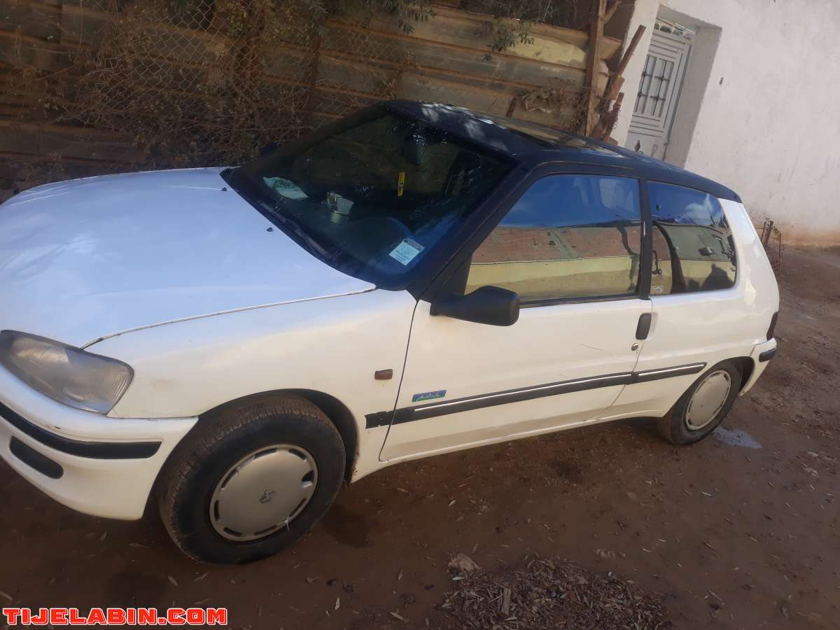 Peugeot  106