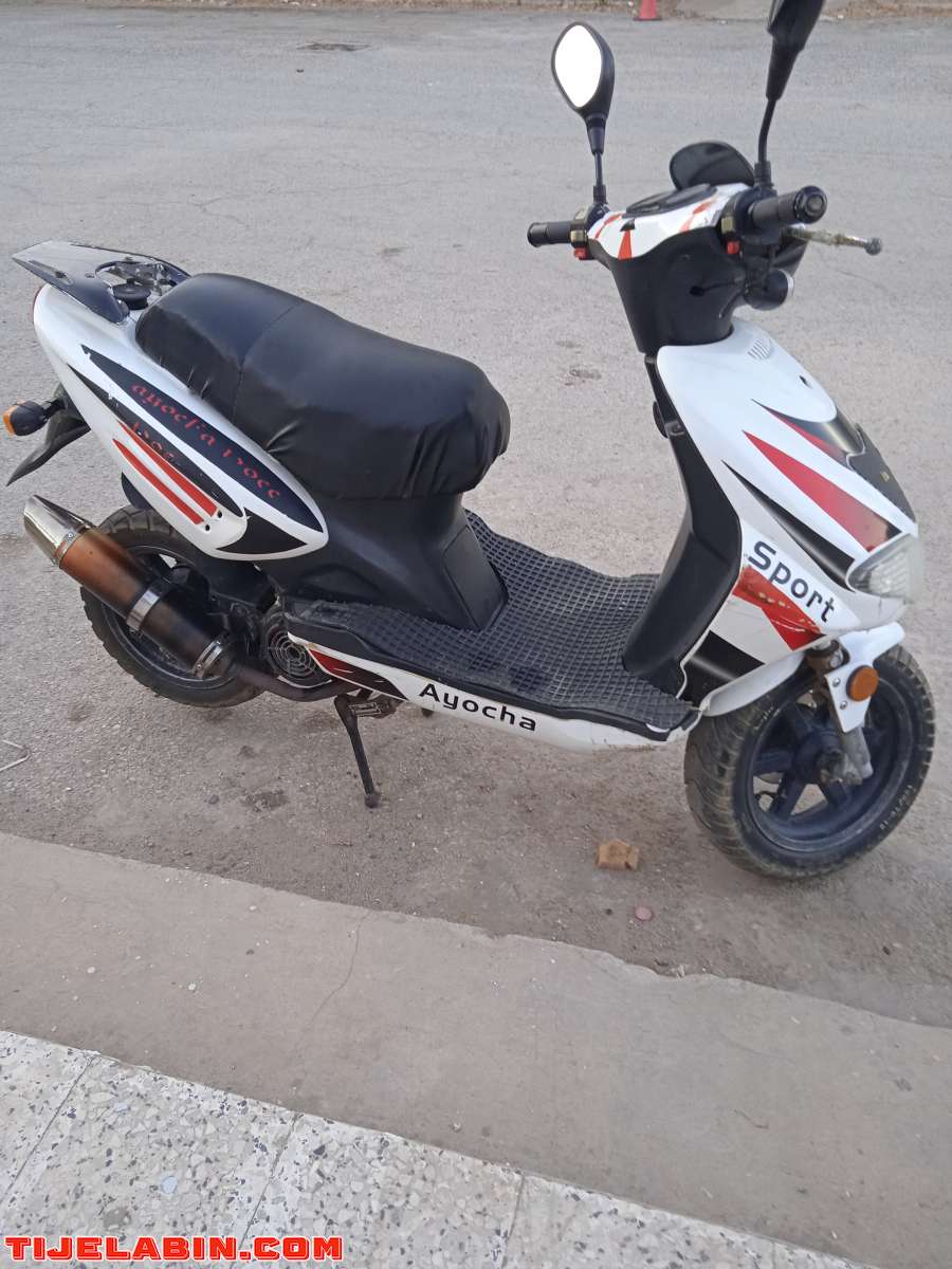 فيسبا عيوشا2012