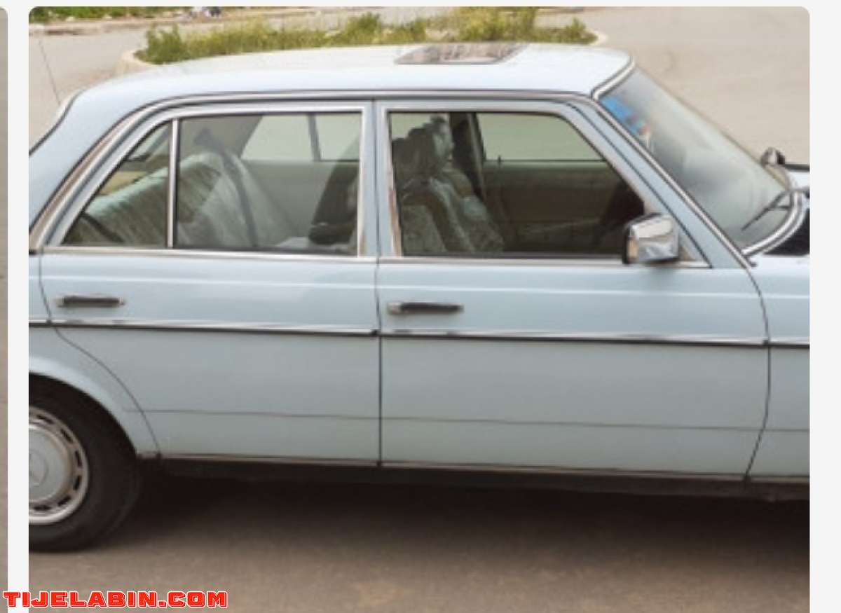 جاري البحث عن مرسداس 123